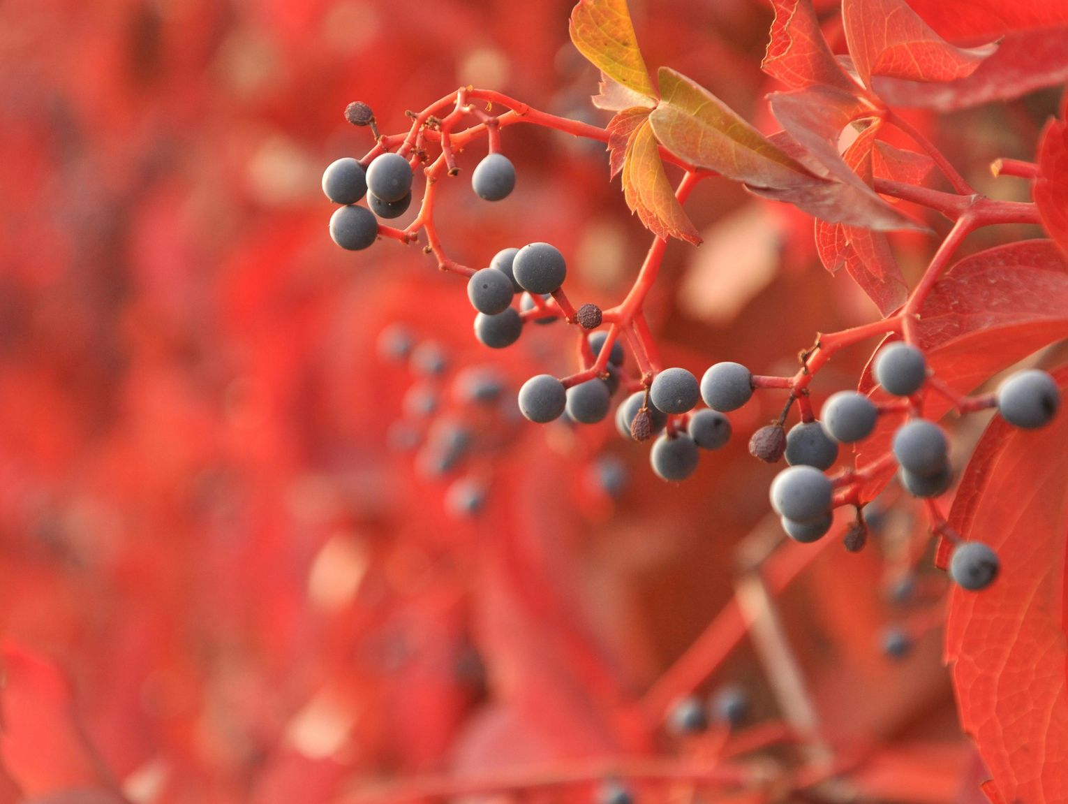 Pogoda na środę. Sprawdź, jaka będzie aura