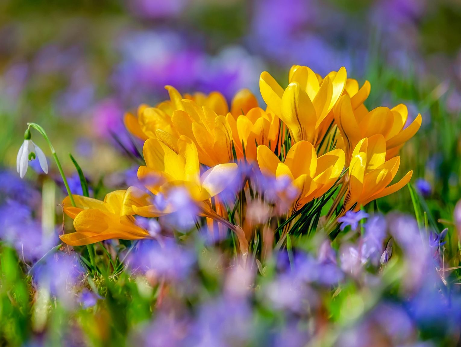 Pogoda na środę. Sprawdź, jaka będzie aura