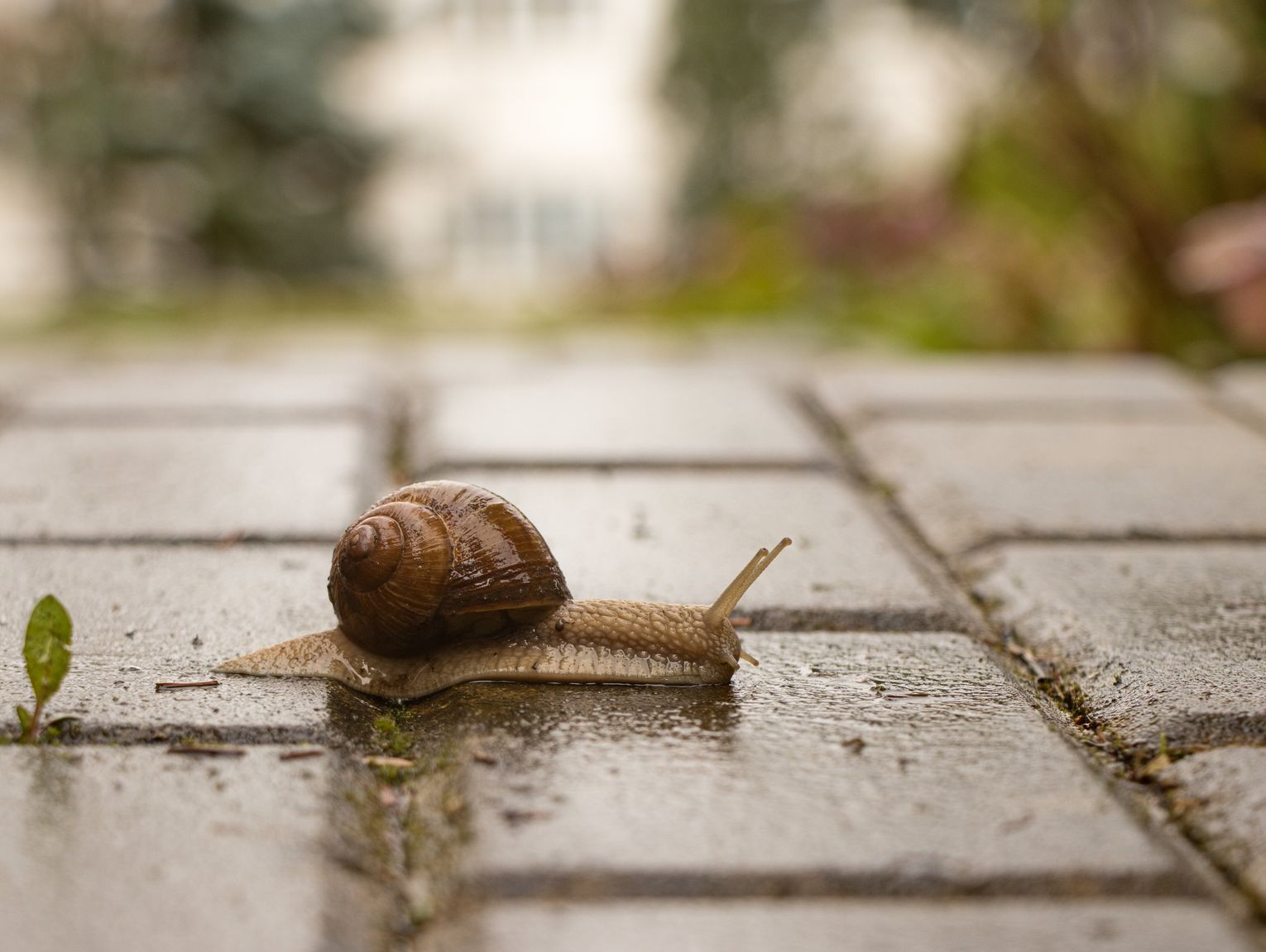 Pogoda na środę. Sprawdź, jaka będzie aura