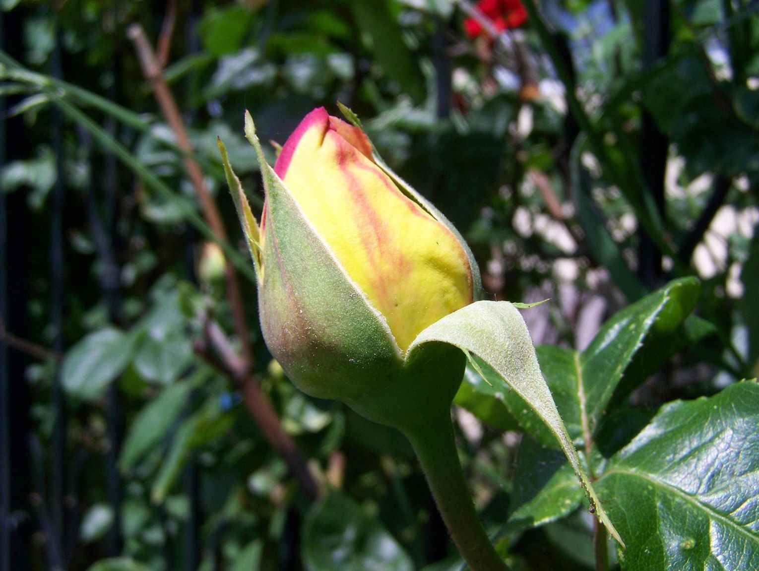 Pogoda na weekend. Sprawdź, jaka będzie aura