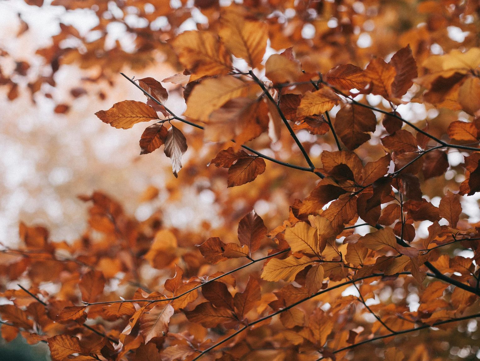Pogoda na weekend. Sprawdź, jaka będzie aura