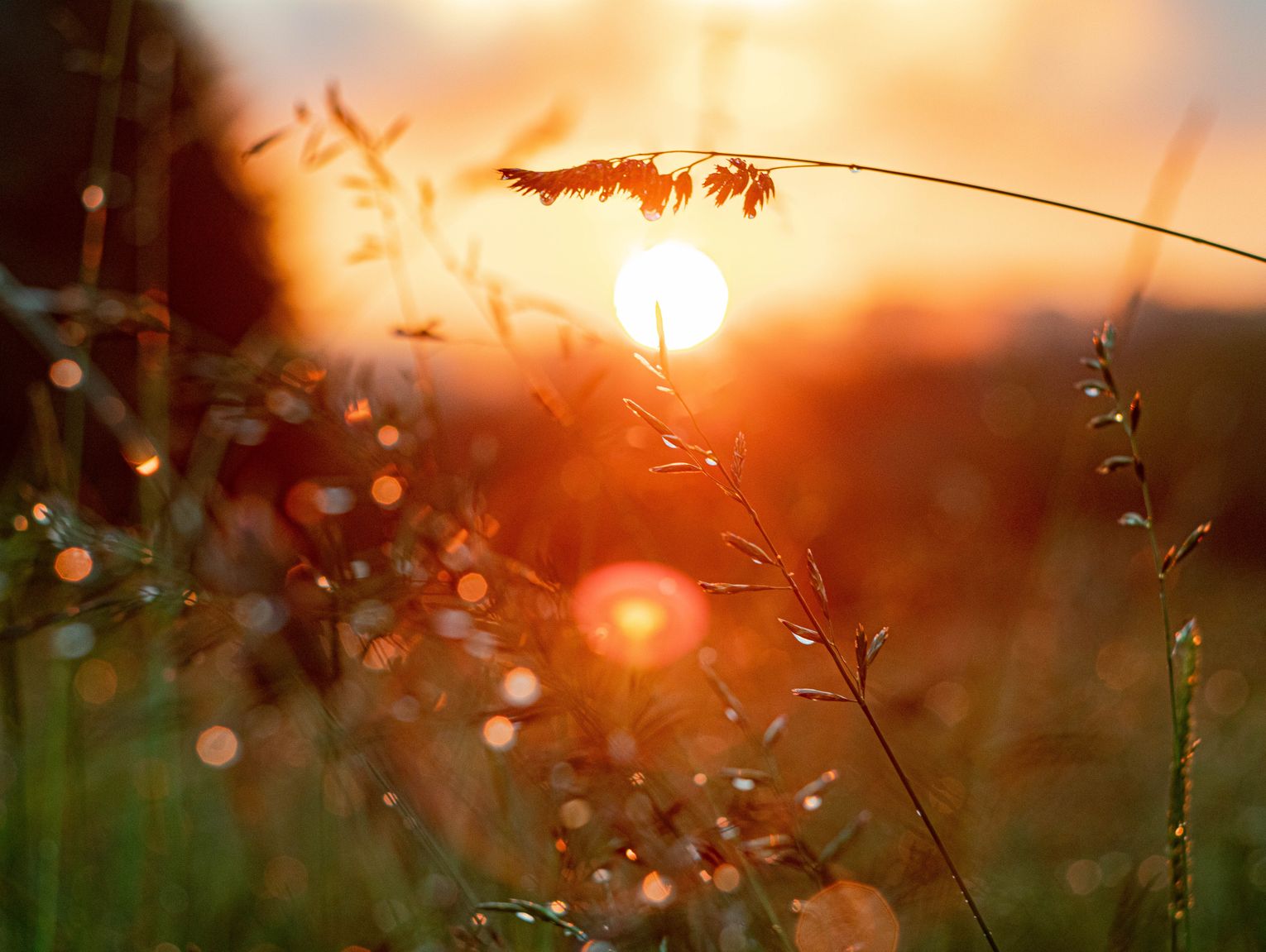Pogoda na weekend. Sprawdź, jaka będzie aura
