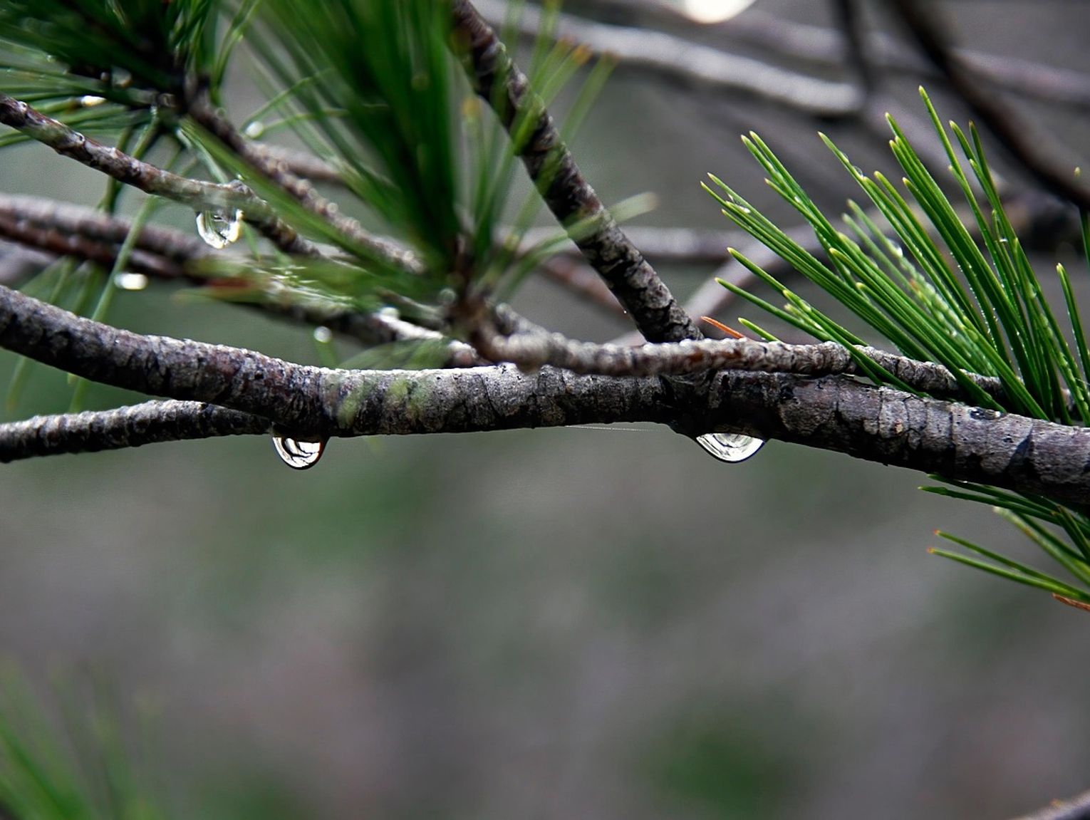 Pogoda na weekend. Trochę deszczu, trochę słońca