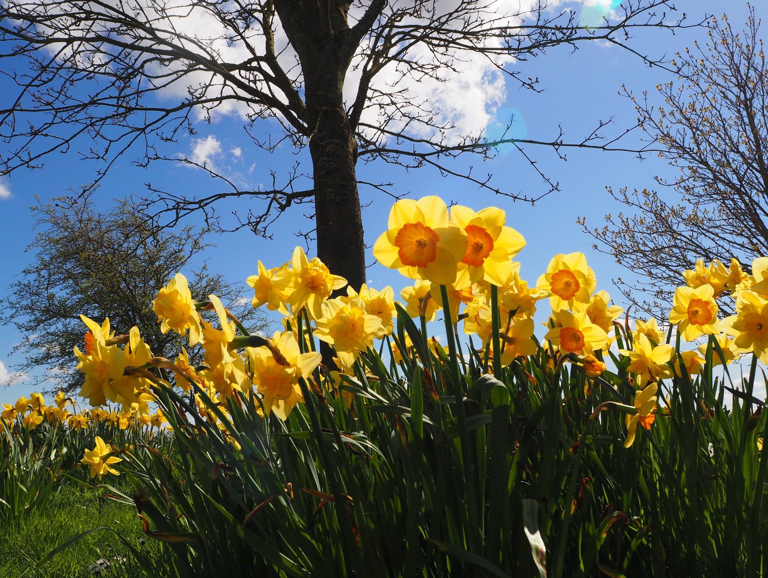 Pogoda na Wielkanoc. Sprawdź, jaka będzie aura