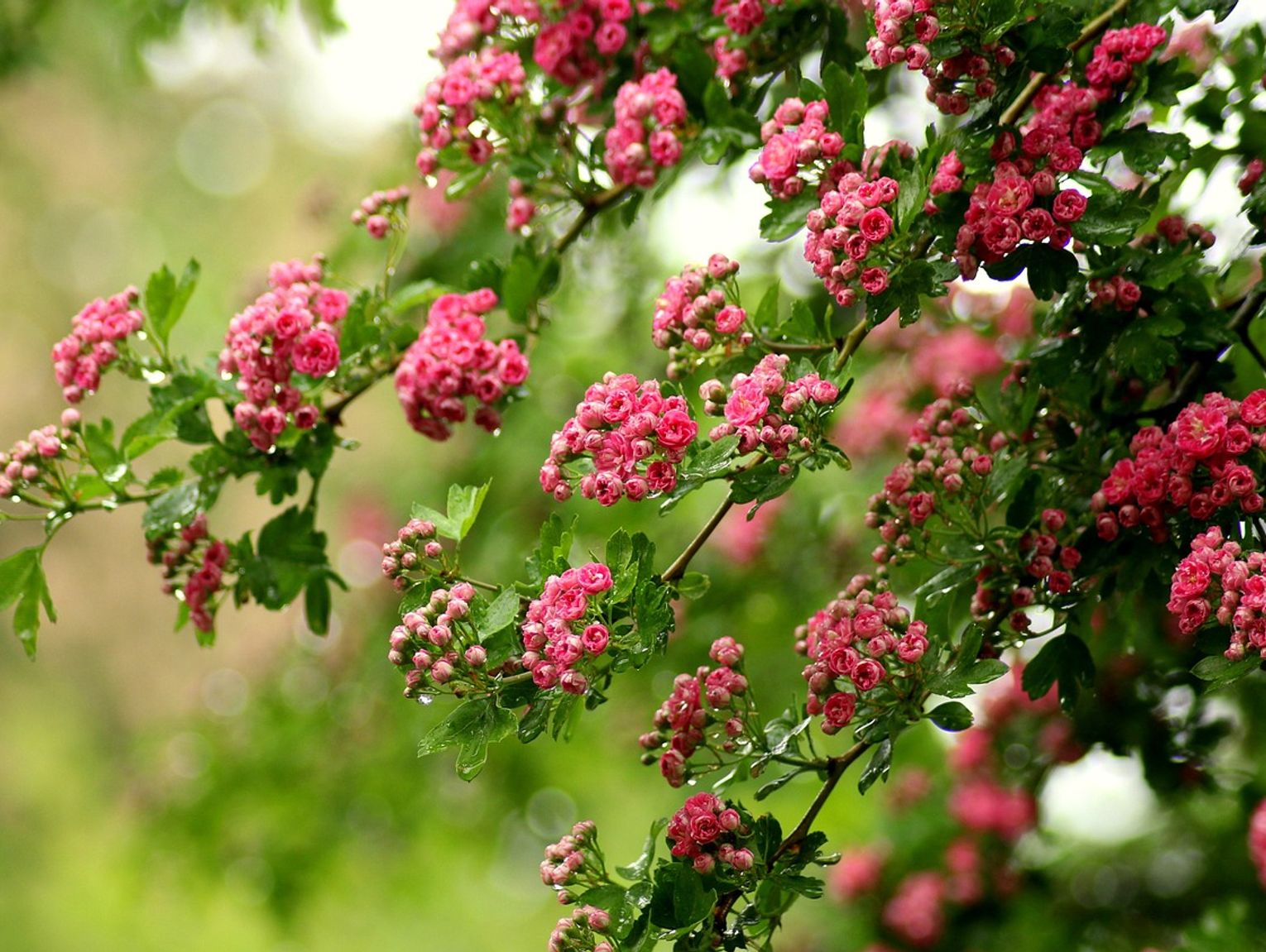 Pogoda na wtorek. Sprawdź, jaka będzie aura