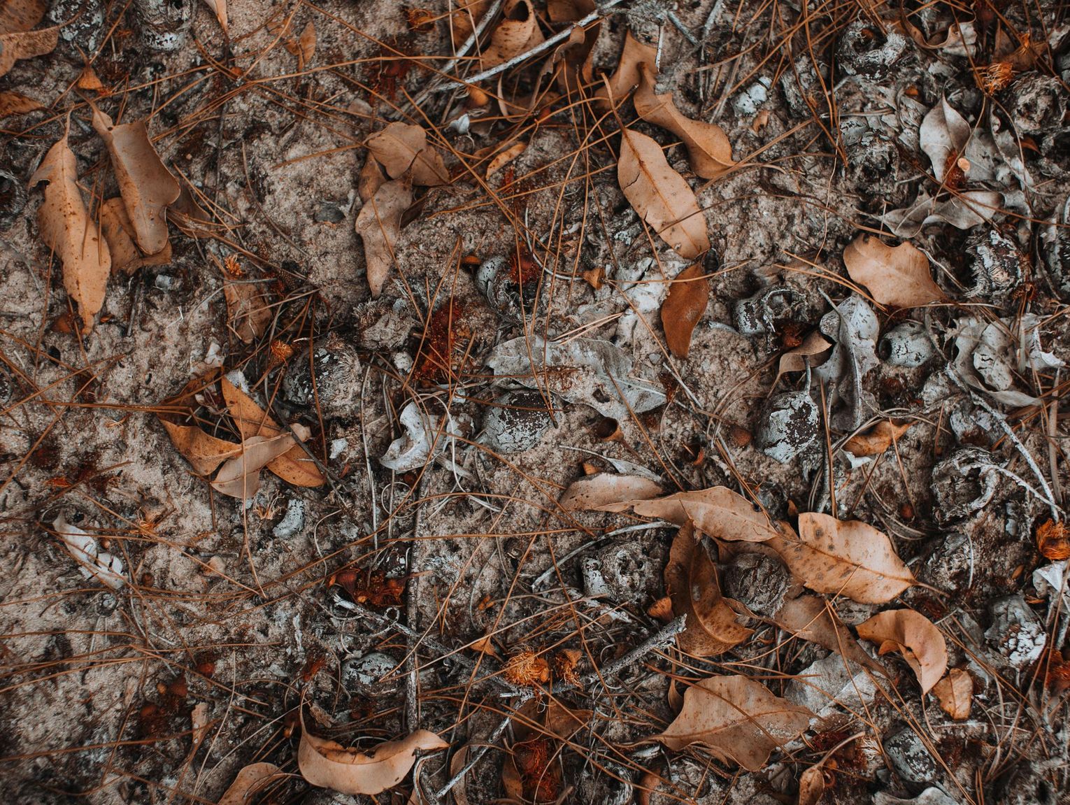 Pogoda na wtorek. Sprawdź, jaka będzie aura