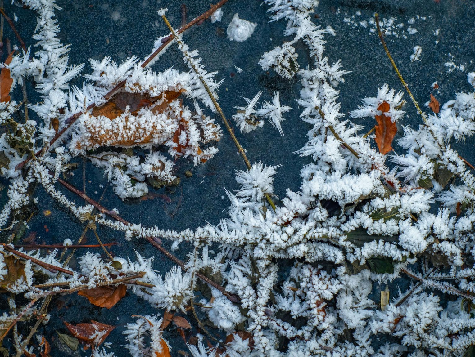 W nocy choćby do -28 stopni Celsjusza. IMGW ostrzega