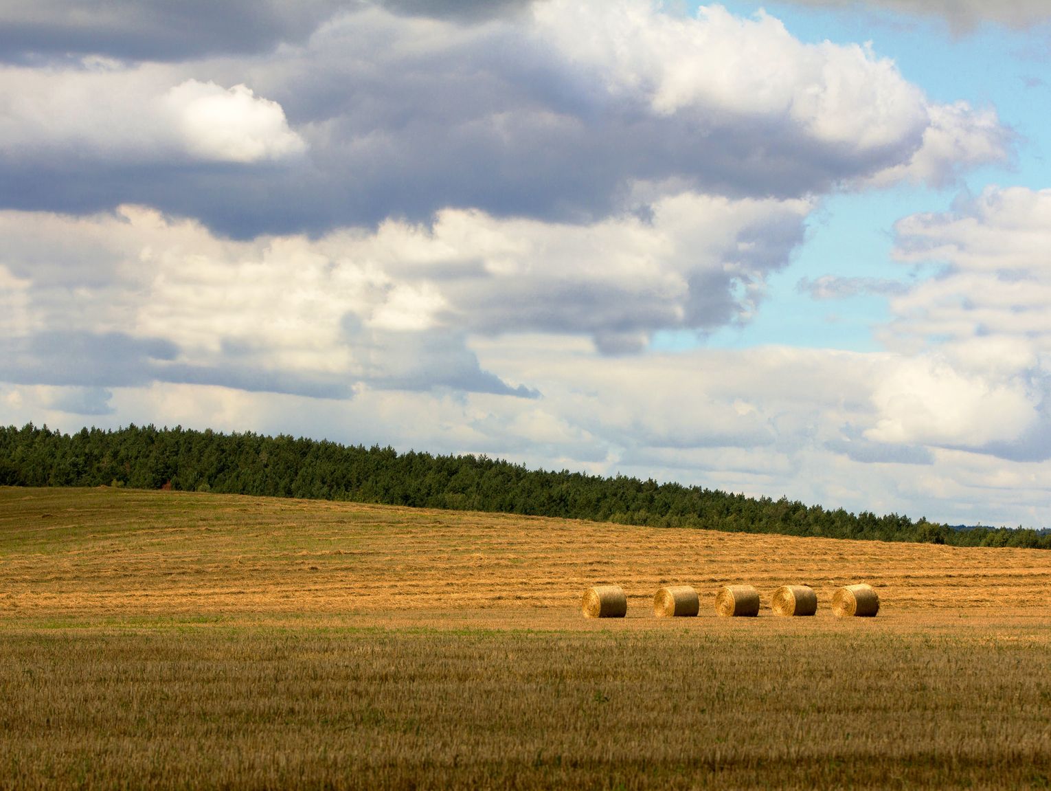 Pogoda na wtorek. Sprawdź, jaka będzie aura