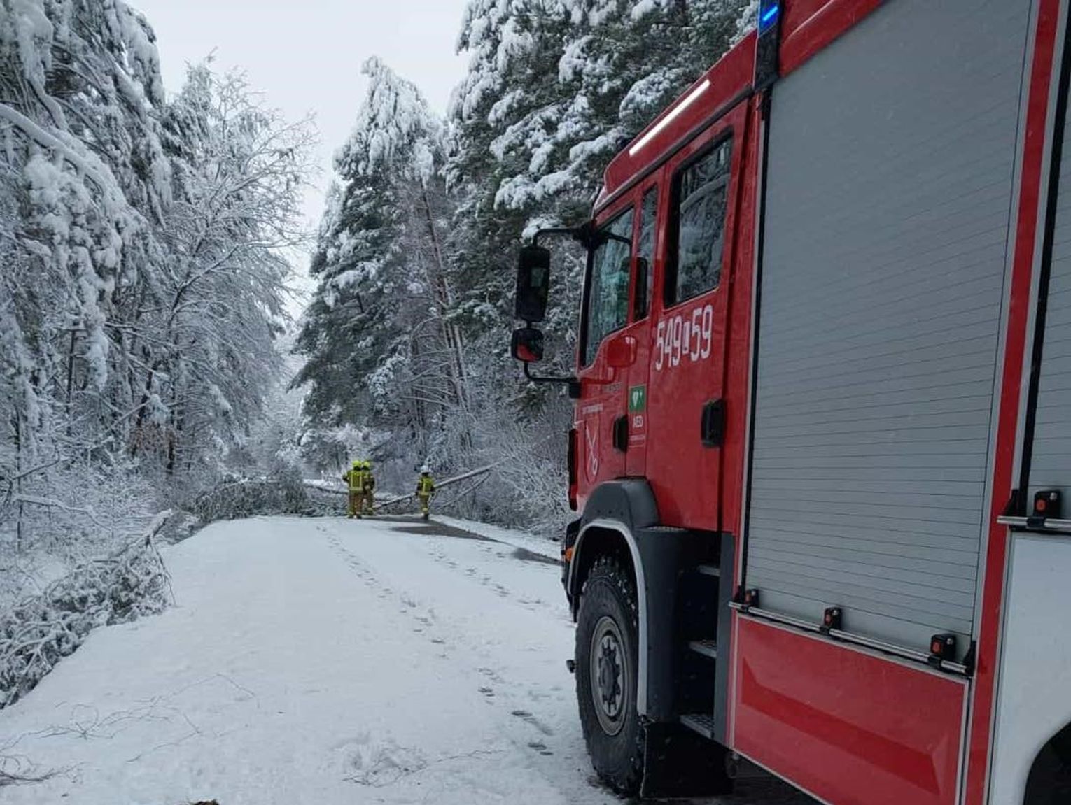 Lubelskie. Ponad 50 interwencji straży w powiecie tomaszowskim w jeden weekend!