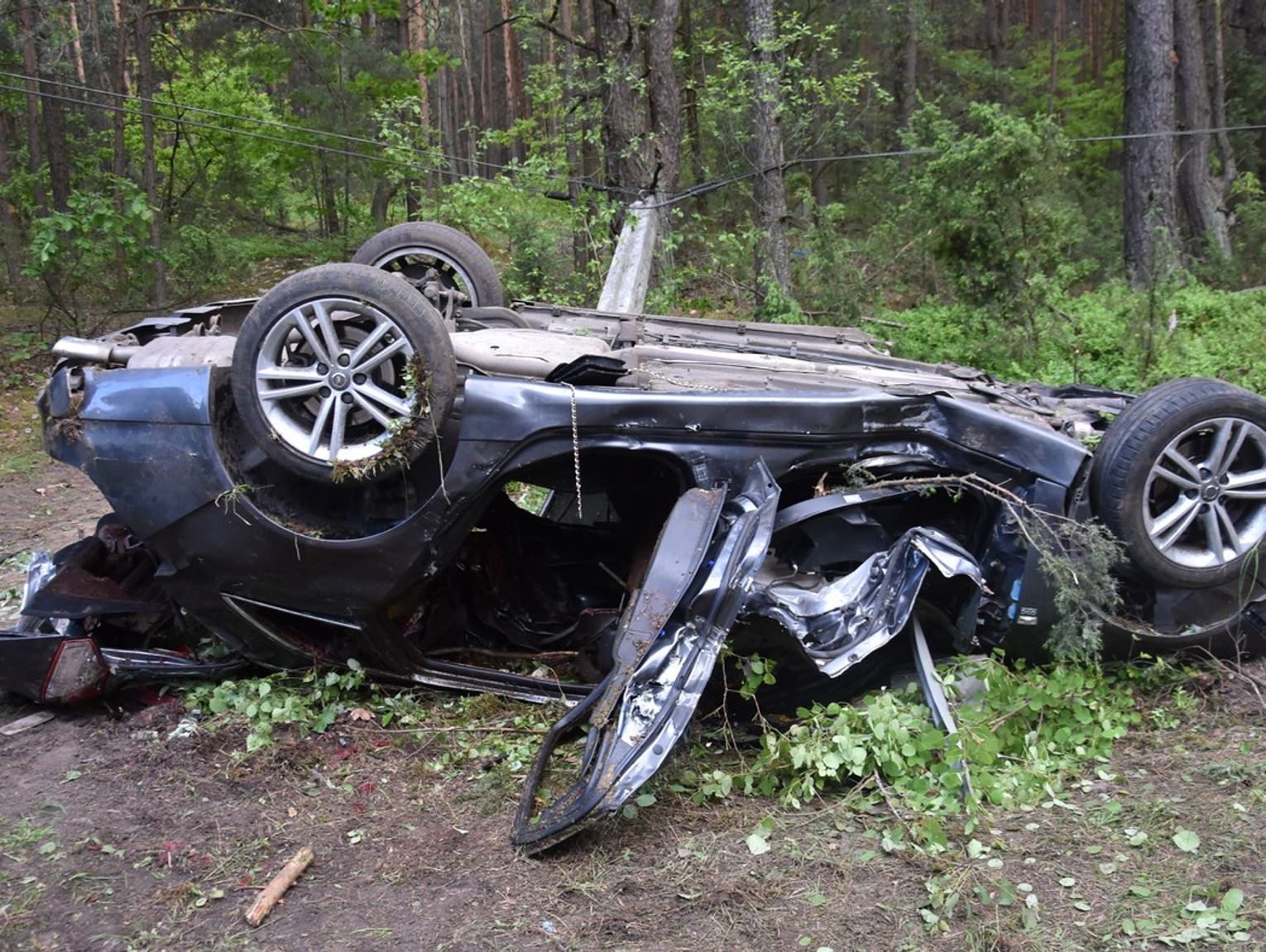 Tragedia w Zabielu. Łoś wbiegł pod auto – nie żyją dwie osoby [ZDJĘCIA]