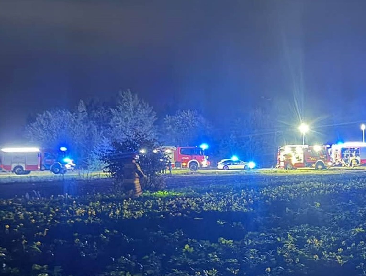 Pożar Volkswagena po uderzeniu w drzewo. Jest ofiara śmiertelna