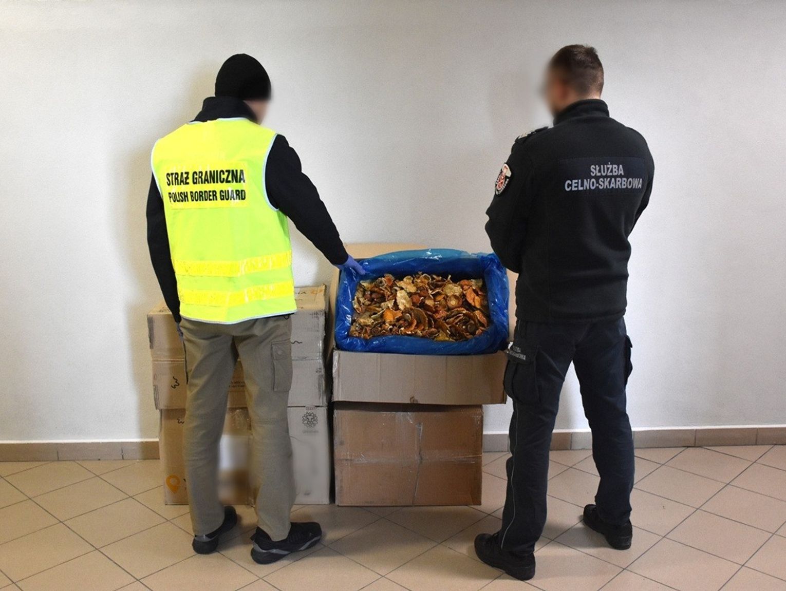 Próbował przewieźć przez Polskę czerwone muchomory [ZDJĘCIA]