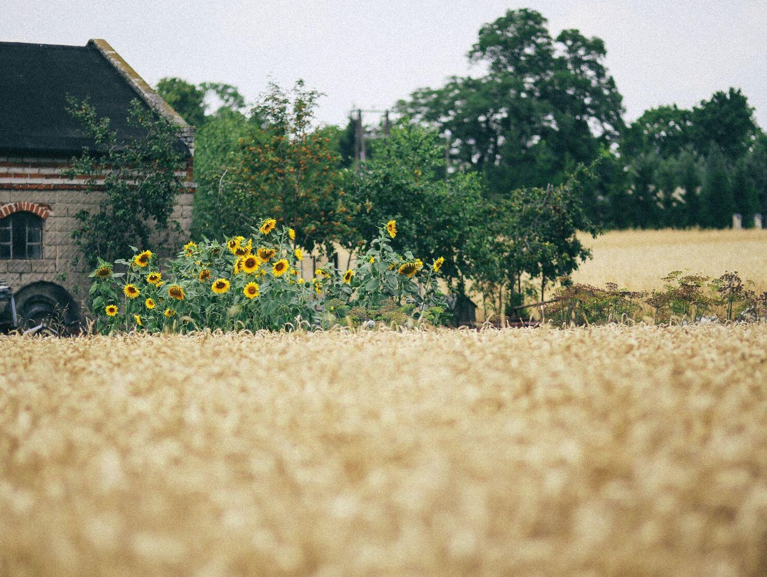 Prognoza pogody na 6 i 7 września. Weekend z burzami i upałem