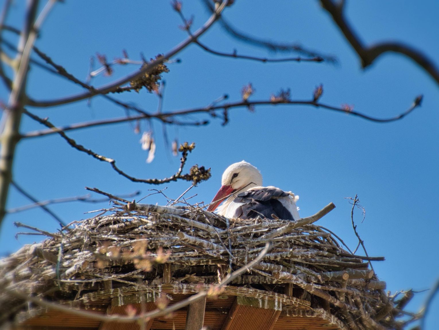 Prognoza pogody na 7 kwietnia. Sprawdź aurę w regionie