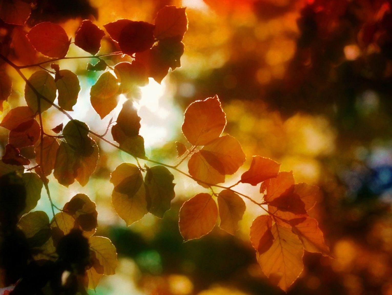 Prognoza pogody na piątek