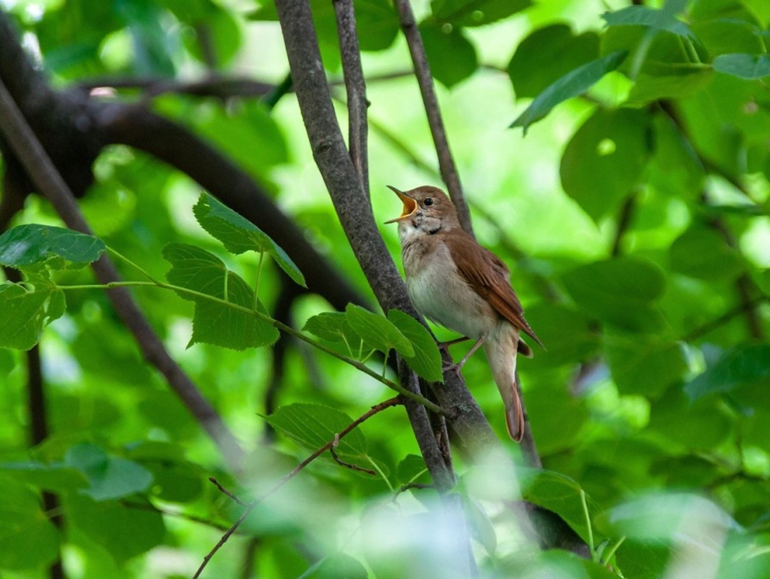 Prognoza pogody na poniedziałek