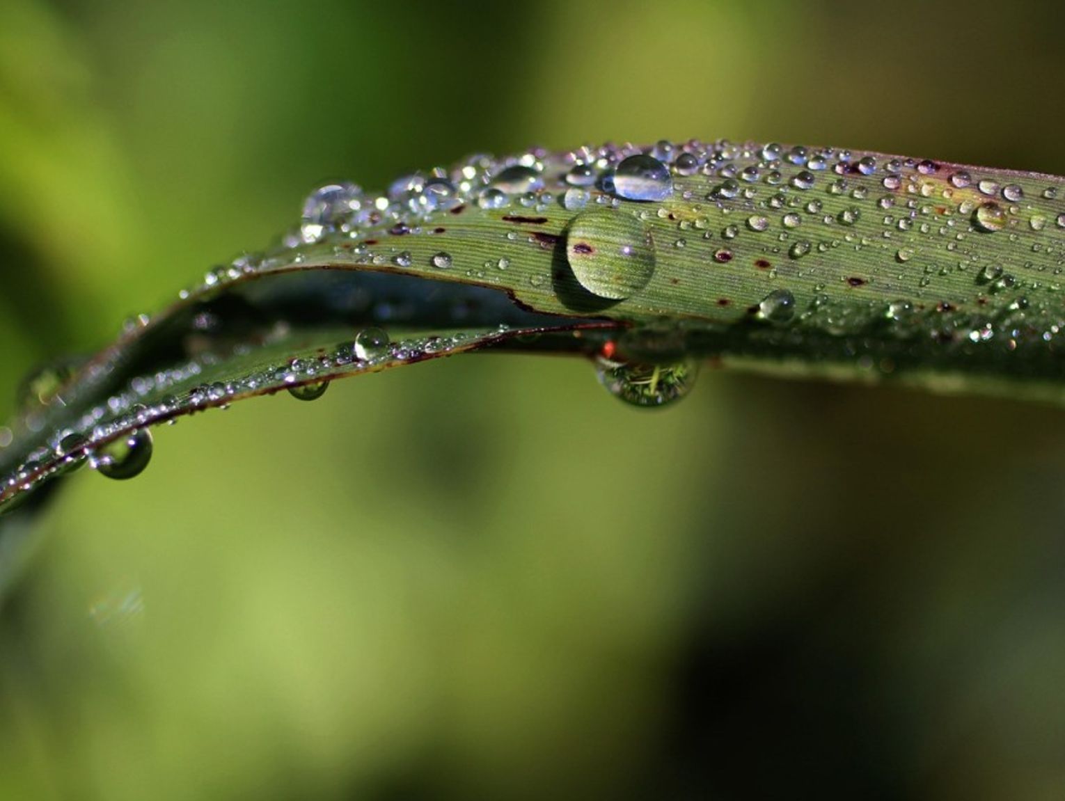 Prognoza pogody na weekend