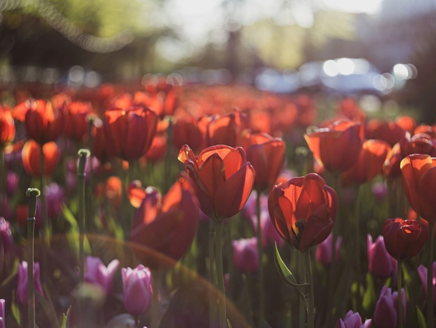 Prognoza pogody na wtorek