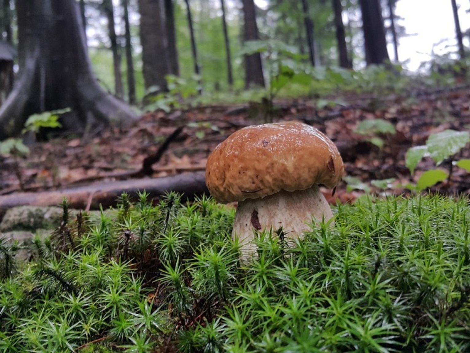 Prognoza pogody na wtorek