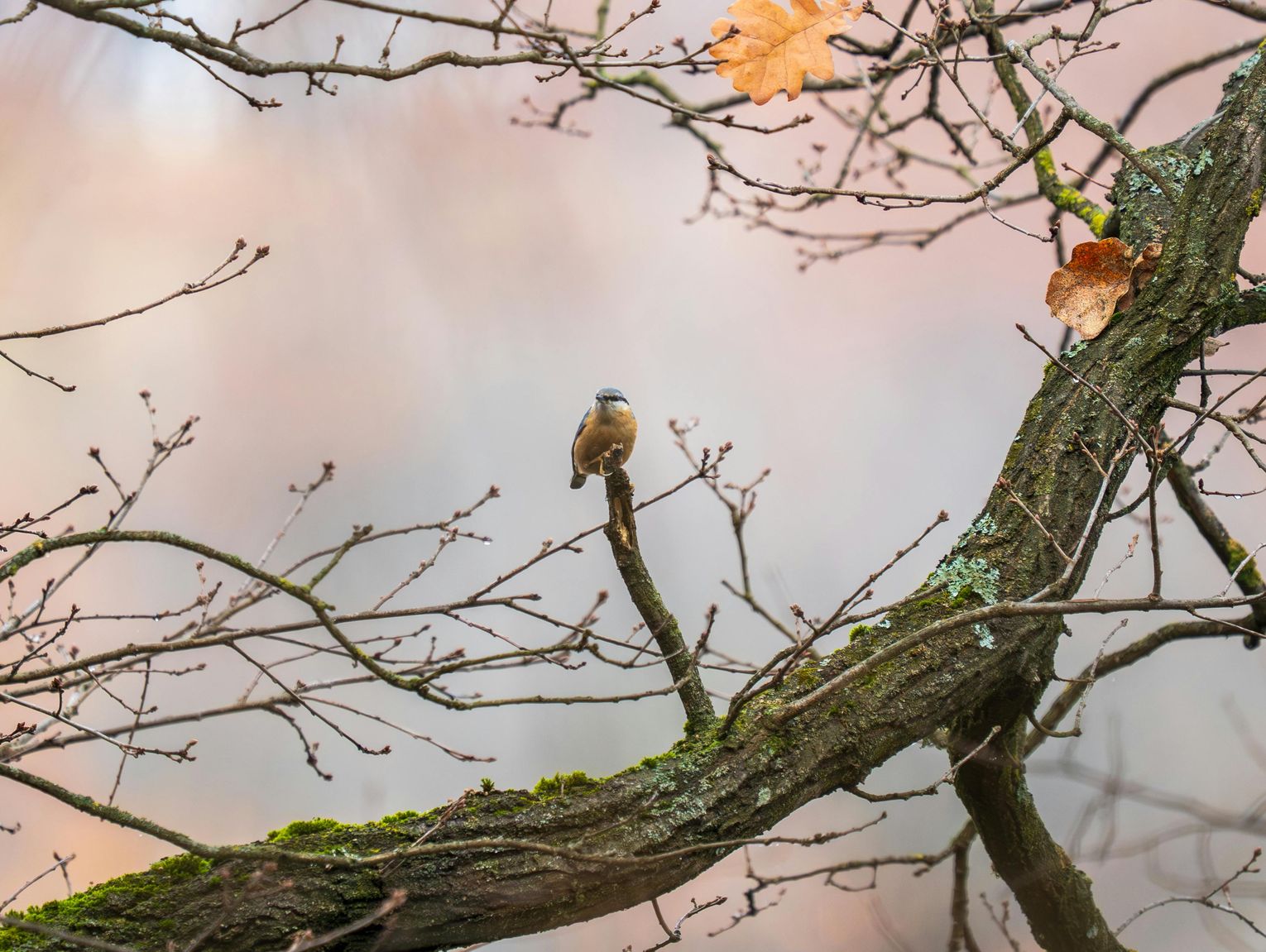 Prognoza pogody na wtorek. Sprawdź, jaka będzie aura