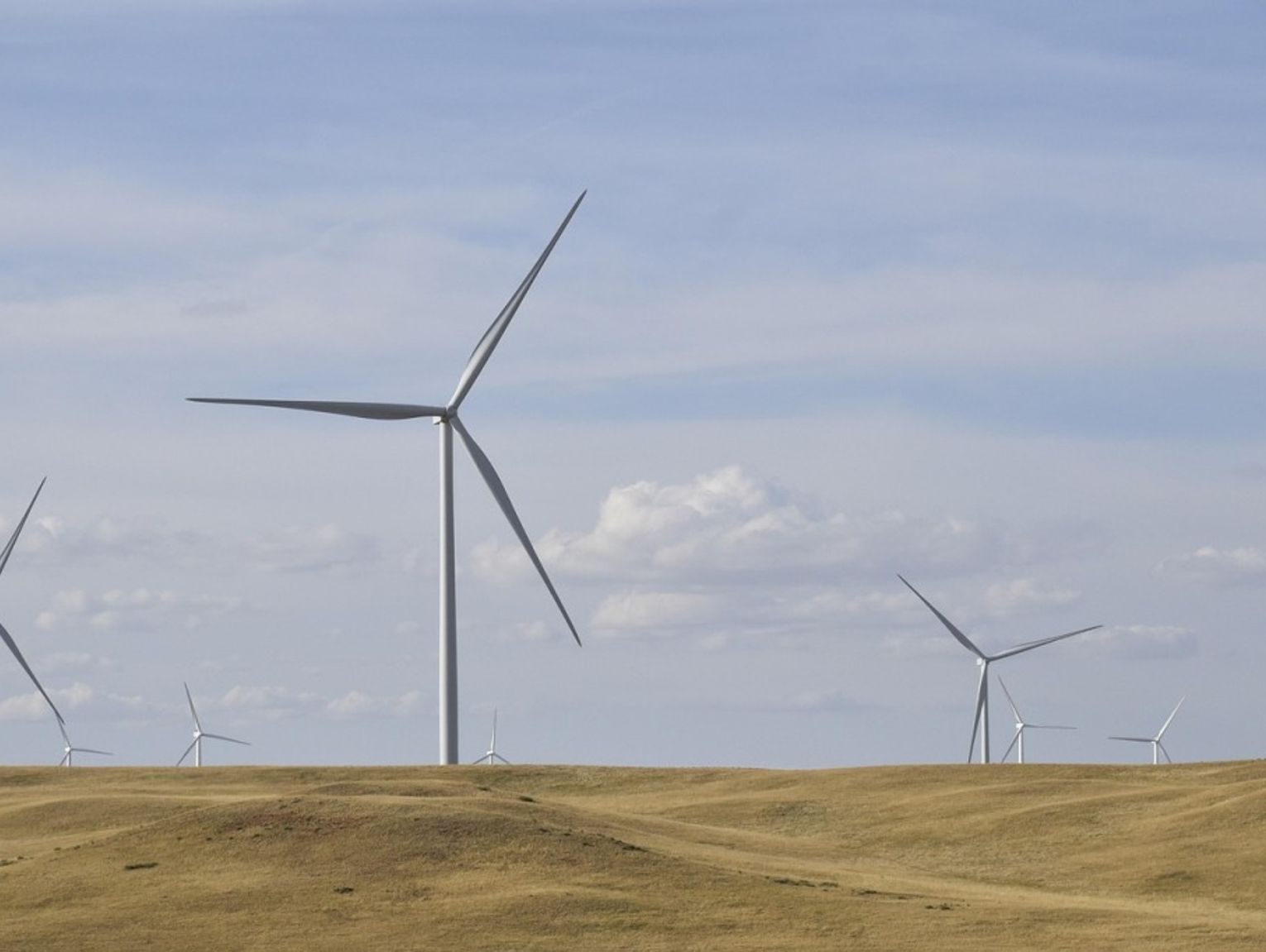 Protestują przeciw inwestycji w wiatraki