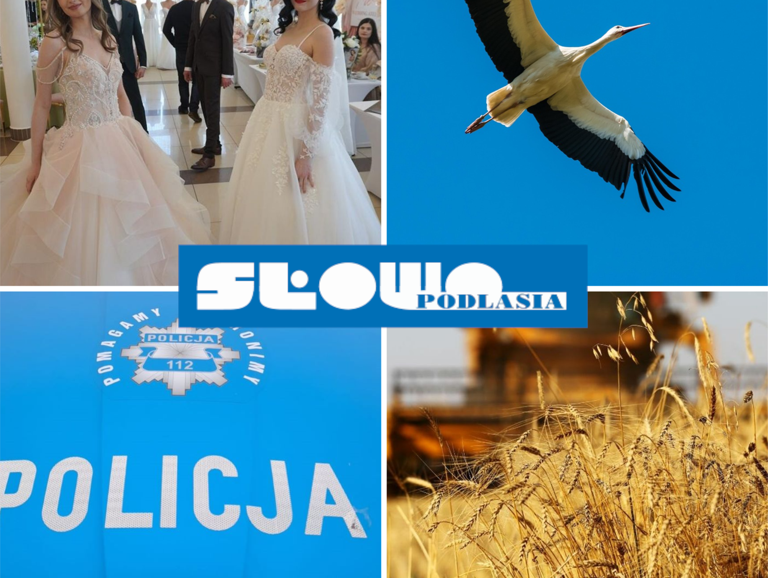 Przegląd informacji z 16 marca 2026. Biała Podlaska, Międzyrzec Podlaski, Łosice, Parczew