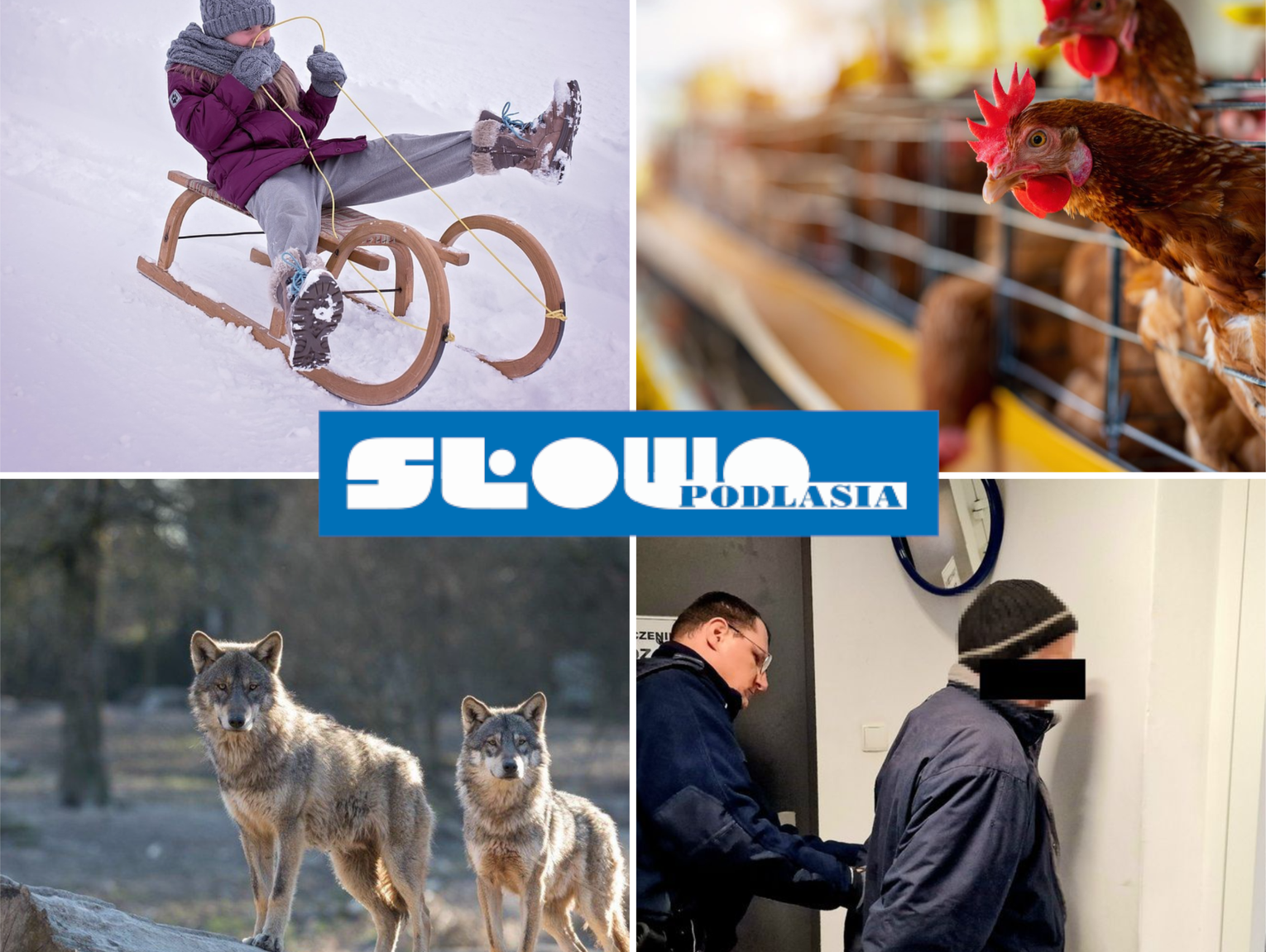 Przegląd informacji z 16 stycznia 2026. Biała Podlaska, Międzyrzec Podlaski, Łosice, Parczew