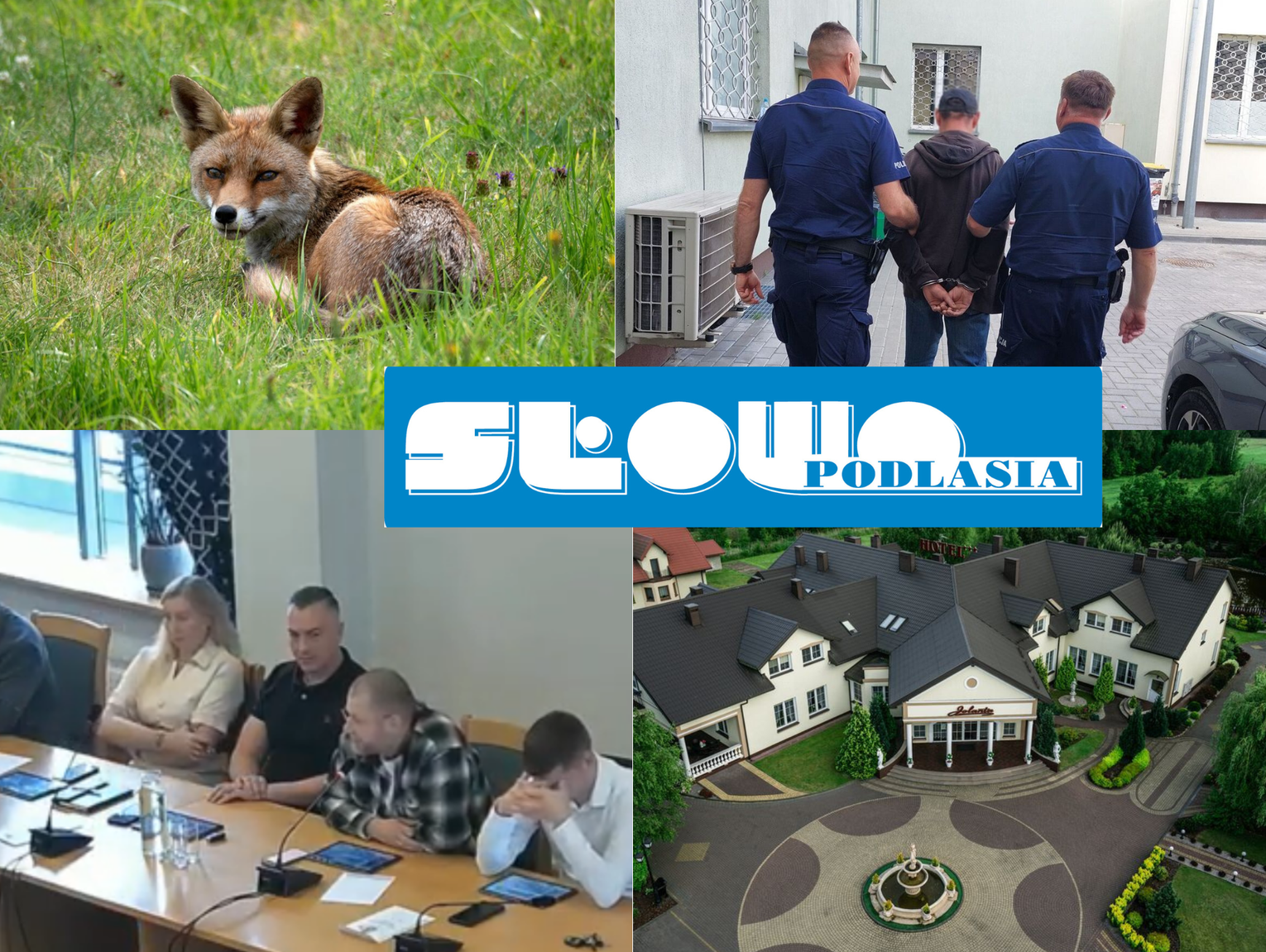 Przegląd informacji z 20 sierpnia 2026. Biała Podlaska, Międzyrzec Podlaski, Łosice, Parczew