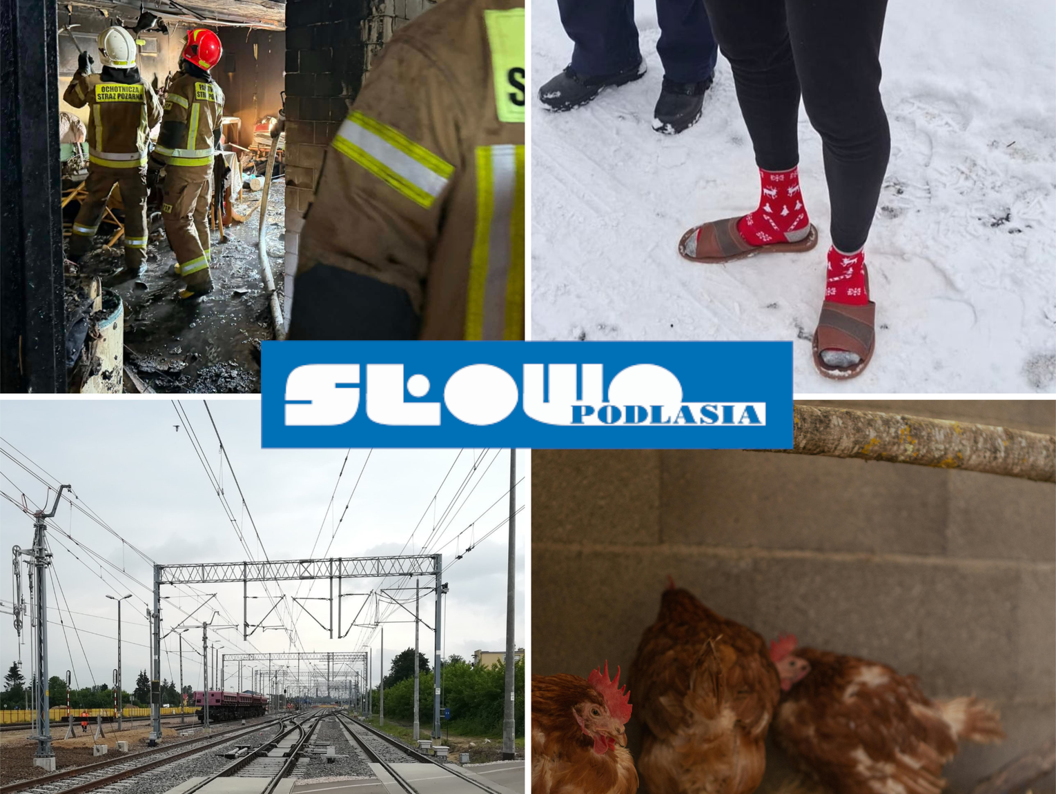 Przegląd informacji z 21 i 22 lutego 2026. Biała Podlaska, Międzyrzec Podlaski, Łosice, Parczew