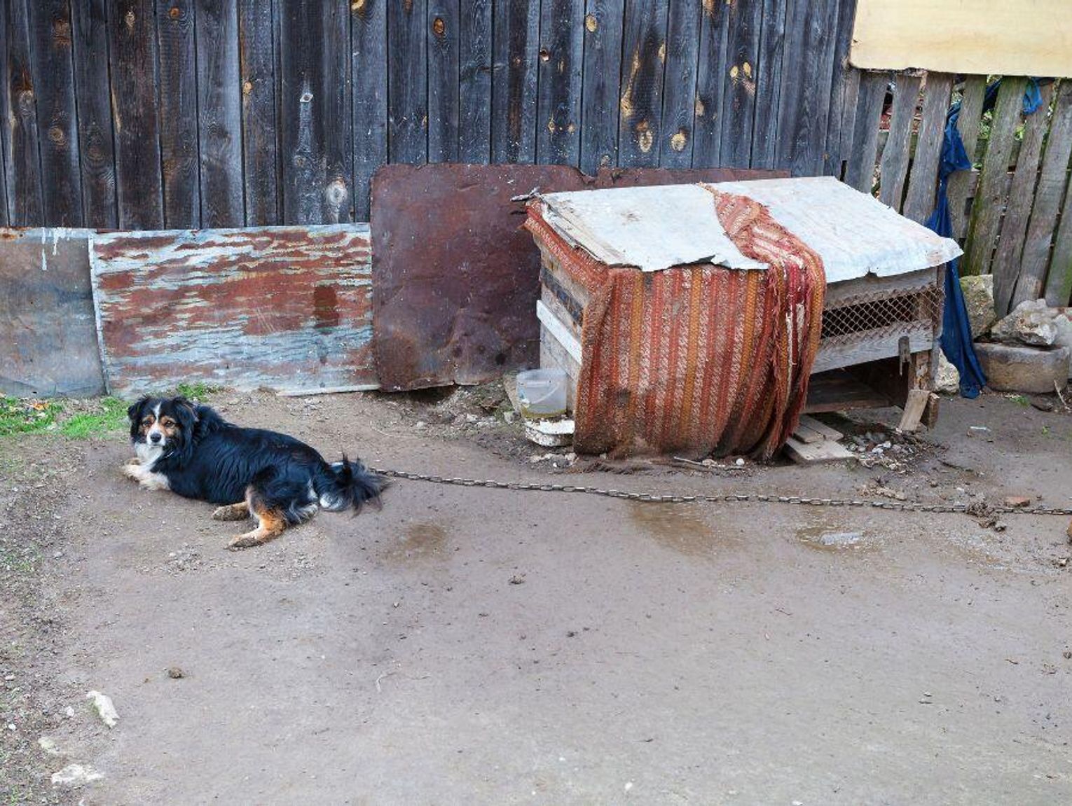 Nie każdemu podoba się nowe prawo