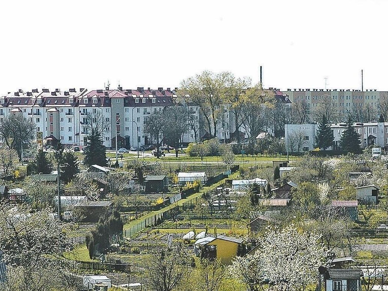 RADZYŃ PODLASKI: Mieszkania na wynajem choćby nie na papierze