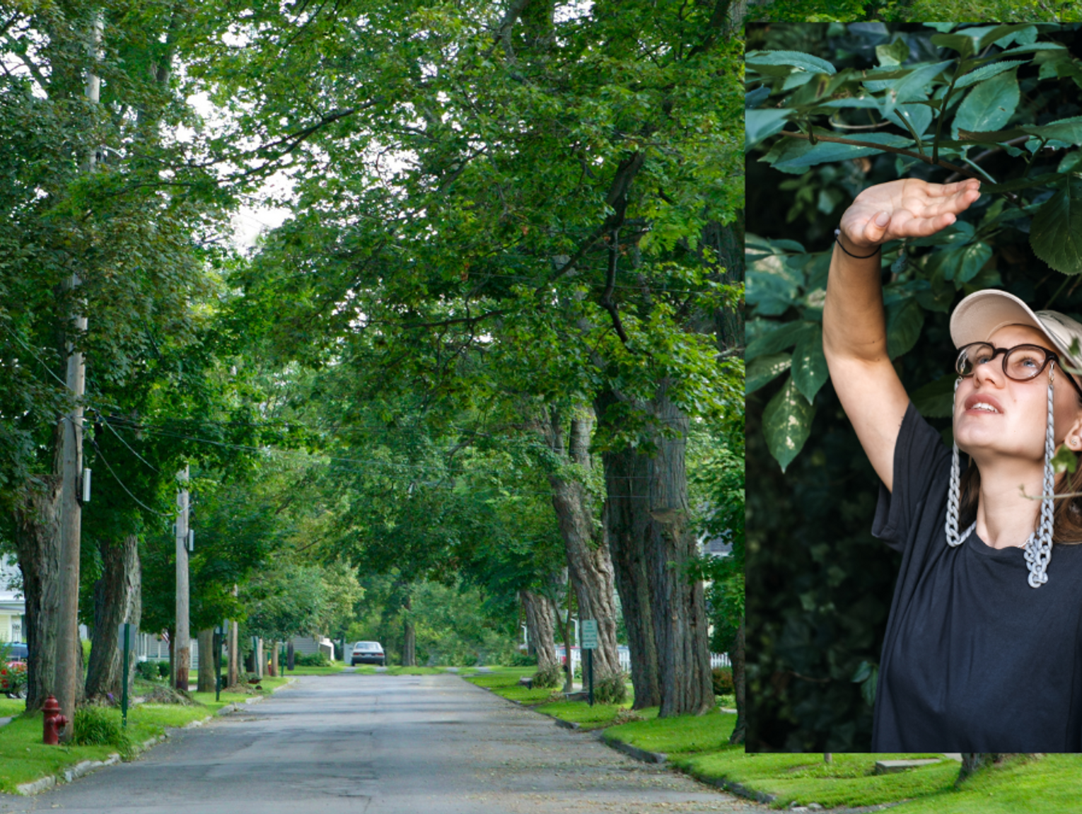 Są pieniądze do wzięcia. Na chętnych czekają miliony złotych