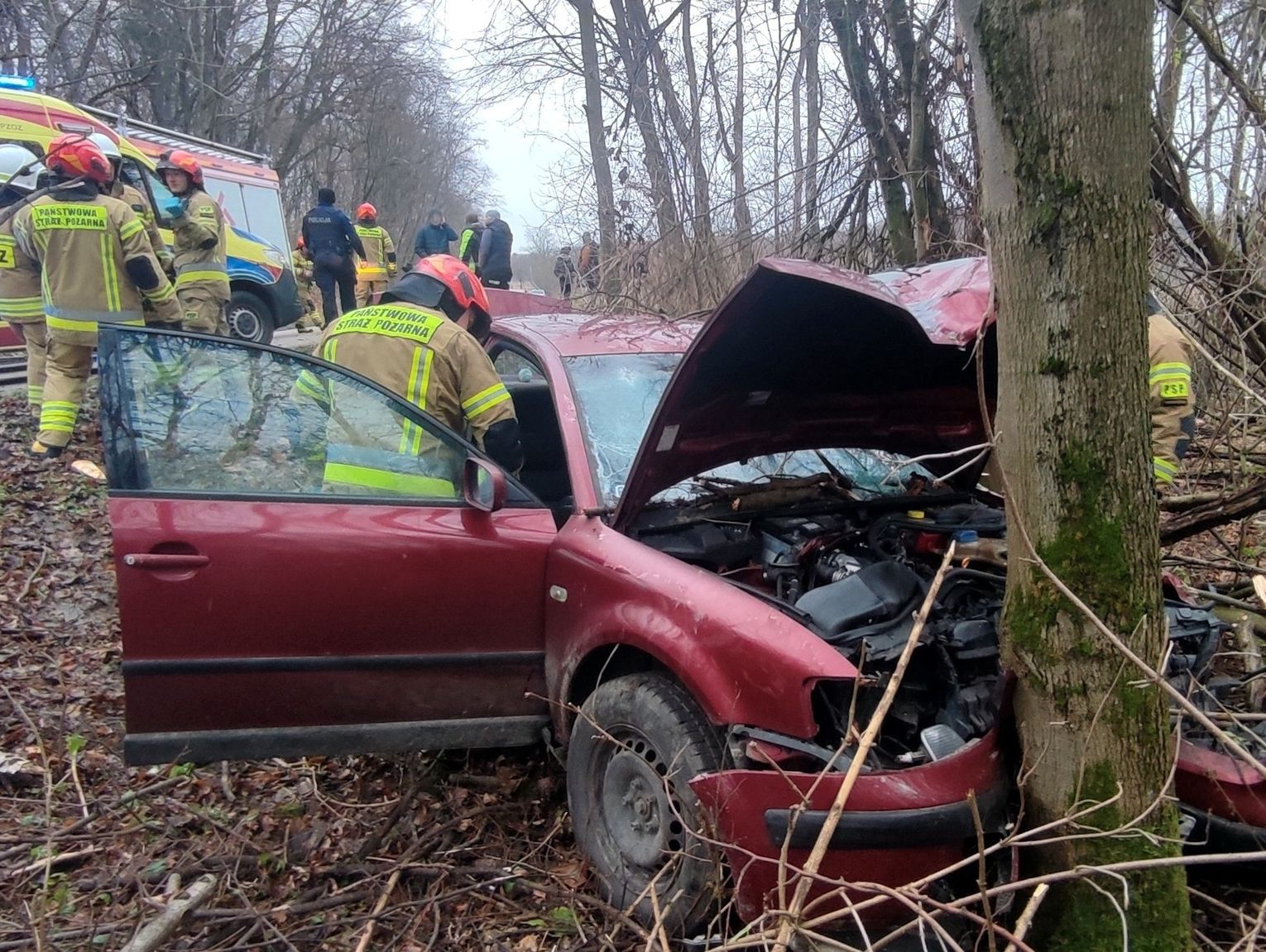 Lubelskie. Samochód uderzył w drzewo. Kierowca przetransportowany do szpitala śmigłowcem LPR [ZDJĘCIA]