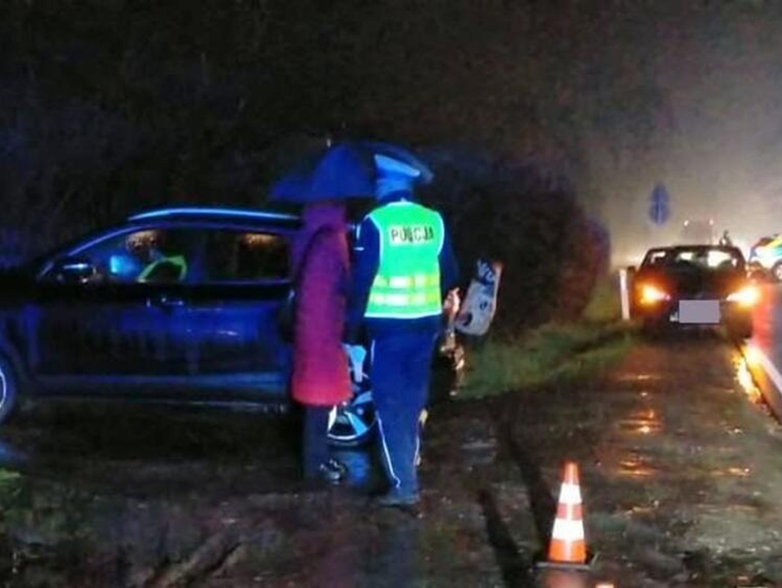 Lubelskie. Śmierć na drodze. Volkswagen przejechał po mężczyźnie
