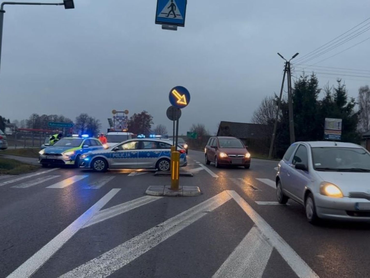 Lubelskie. Śmiertelne potrącenie 84-latki w Suchodołach [WIDEO]