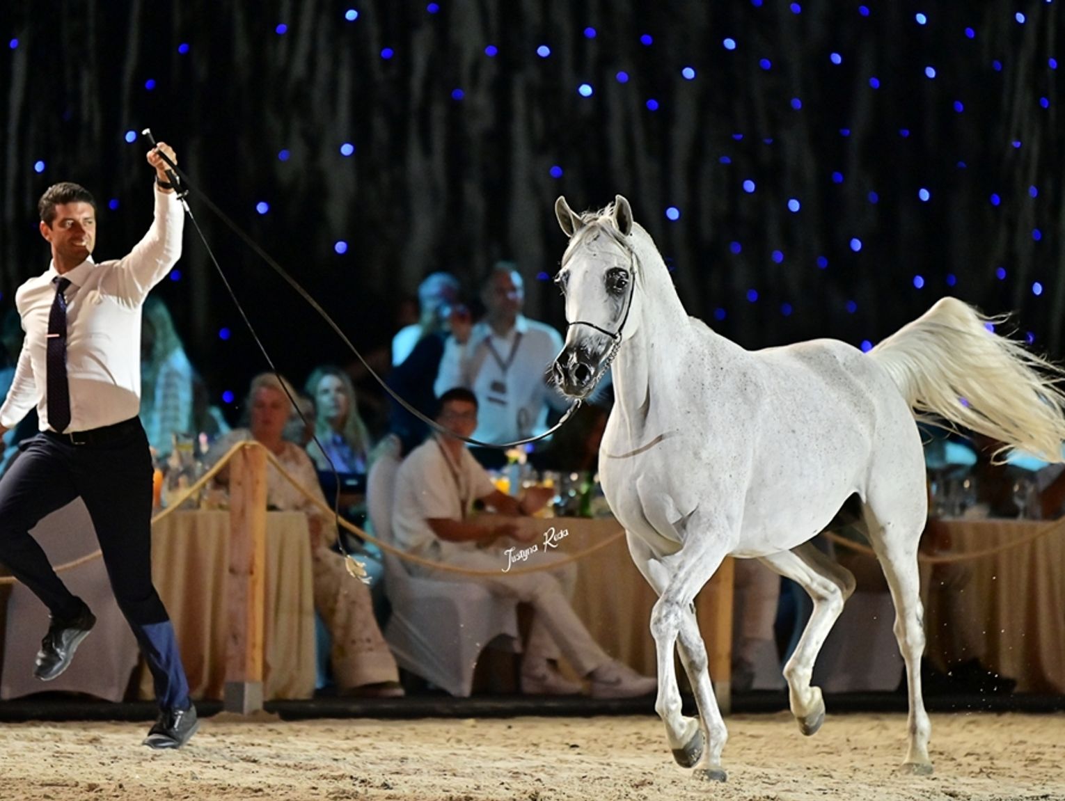 Sukces aukcji Pride of Poland