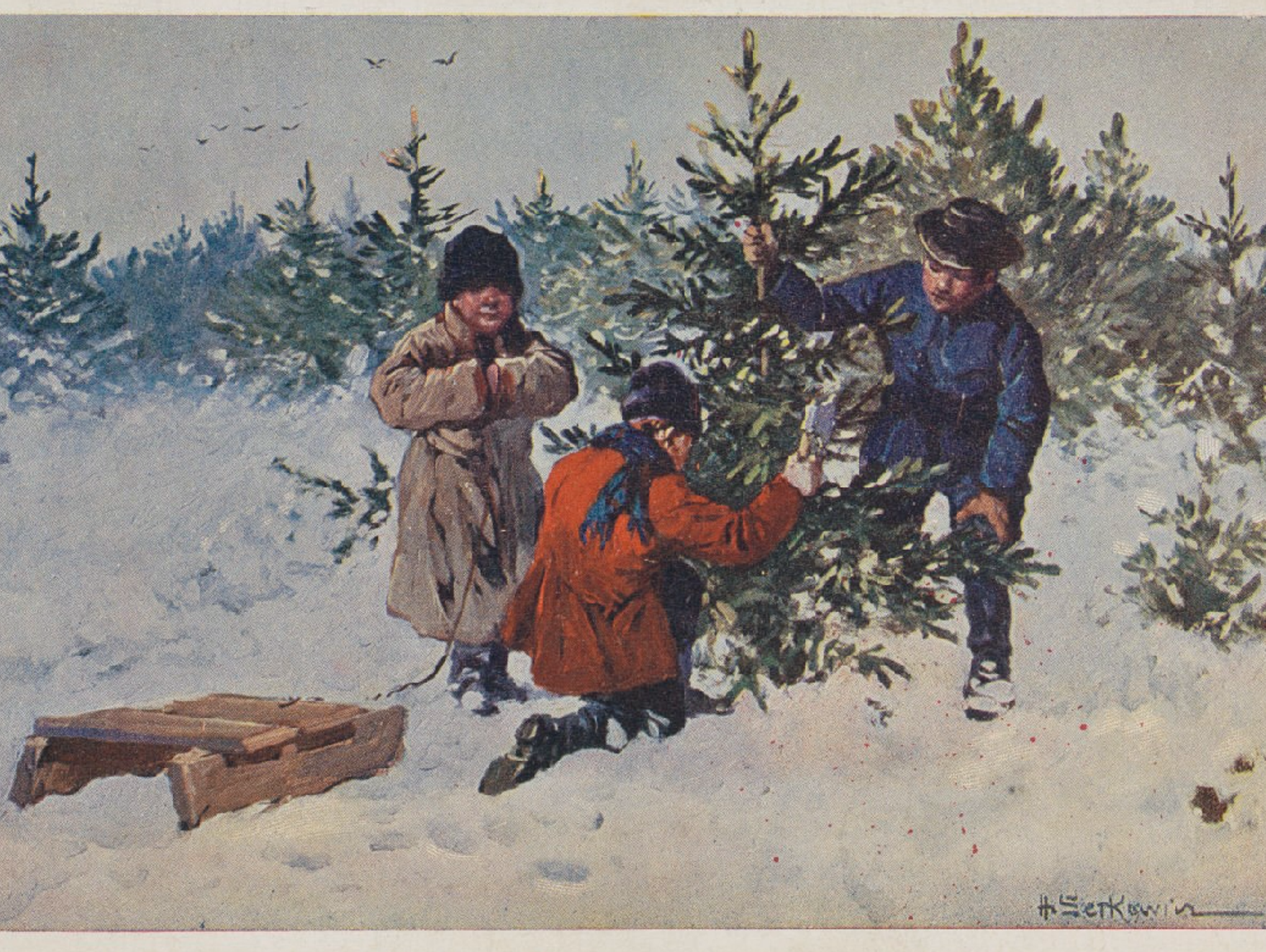 Tam, gdzie choinka się nie przyjęła. Od adwentu do zapustów w dawnej Tucznej