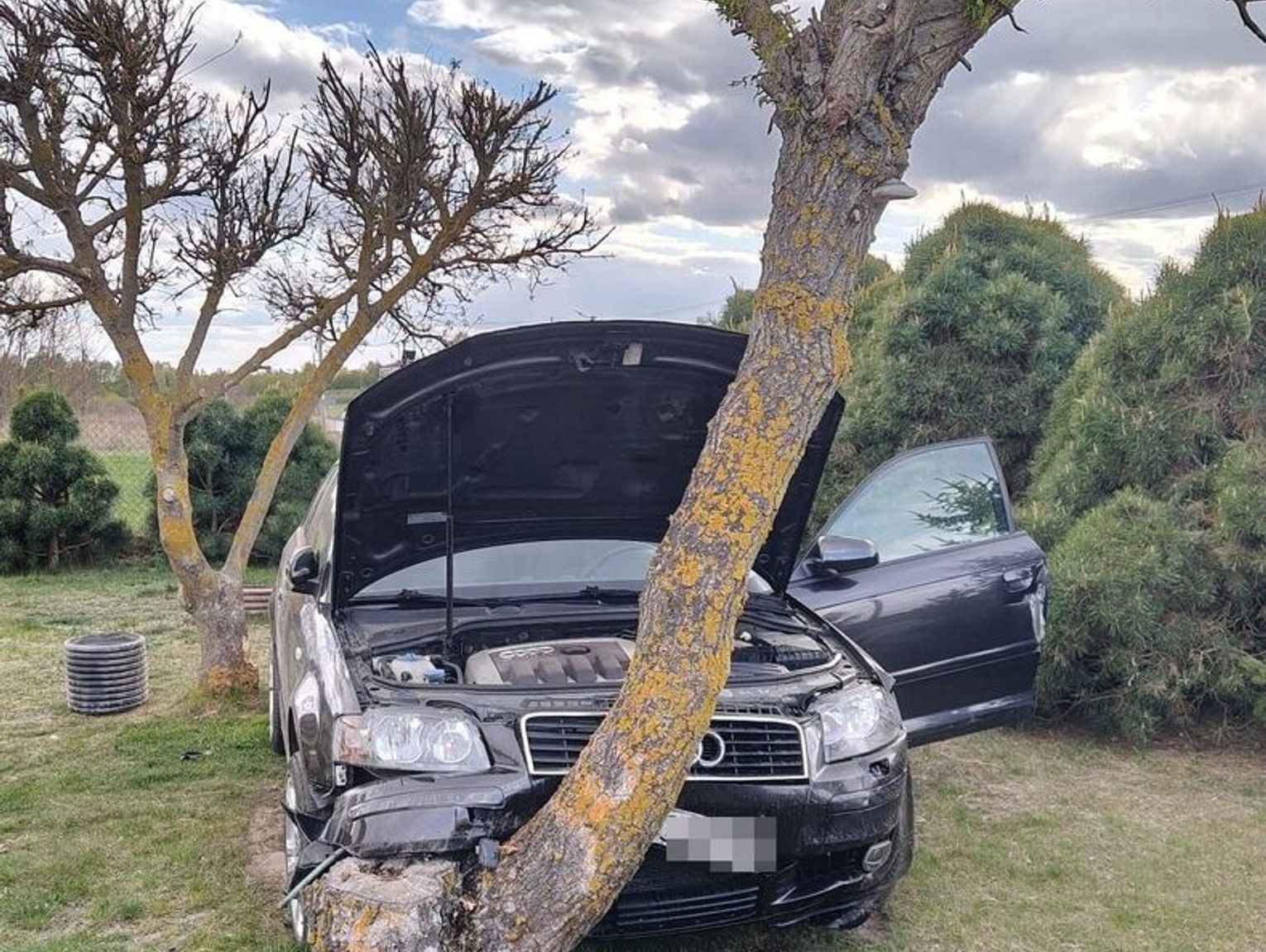 Tchórzew. Uderzył w drzewo i uciekł do domu. Był pijany