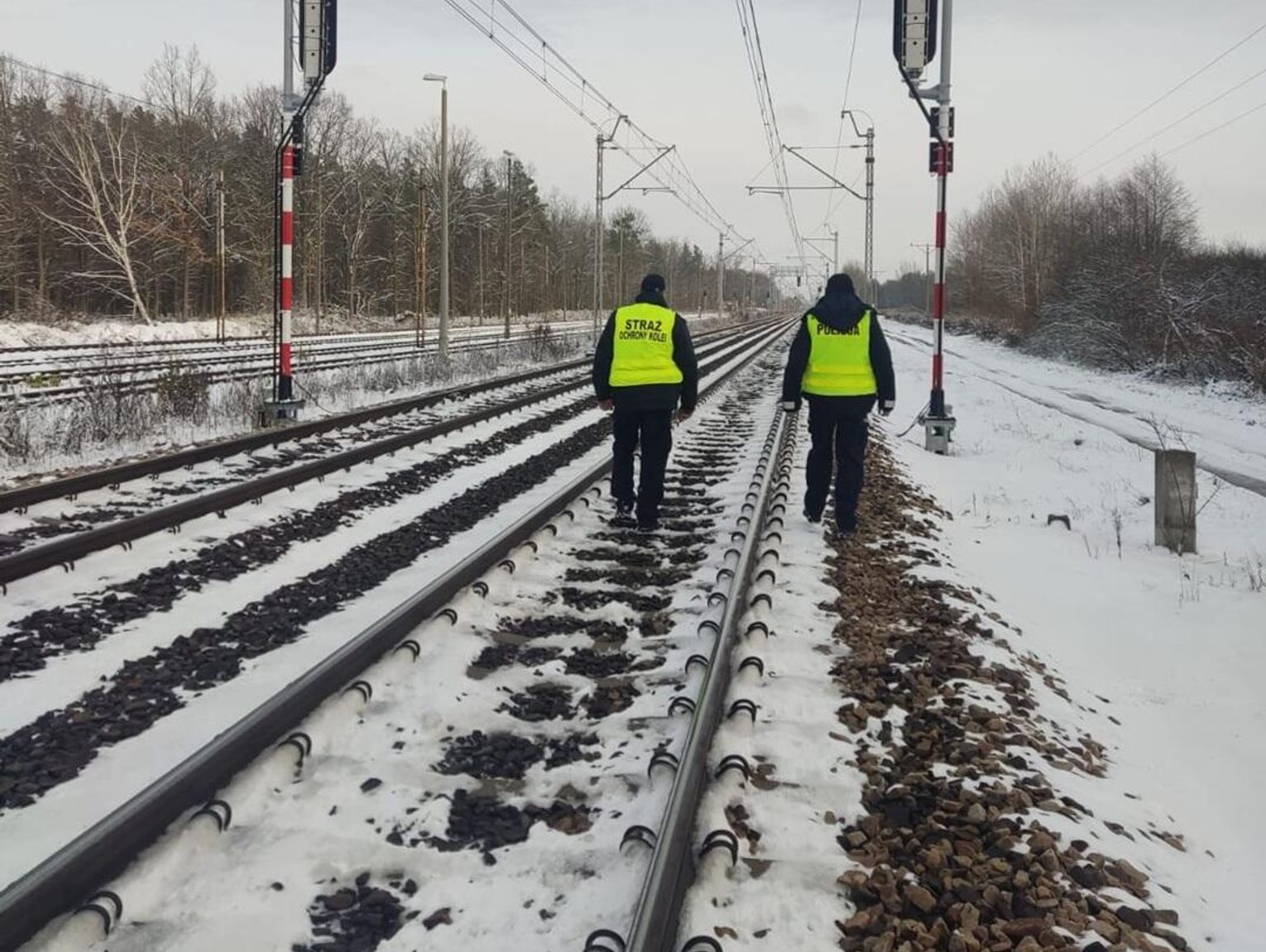 W powiecie bialskim ruszyła operacja „TOR” [ZDJĘCIA]