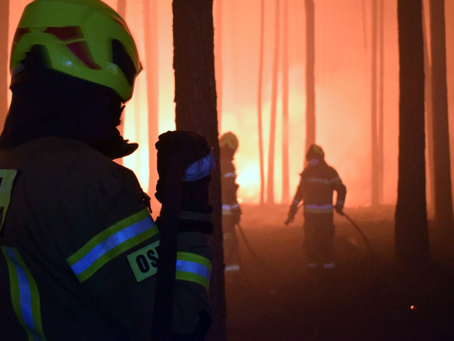 Wielki pożar lasu w powiecie biłgorajskim gaszą też nasi strażacy [ZDJĘCIA]