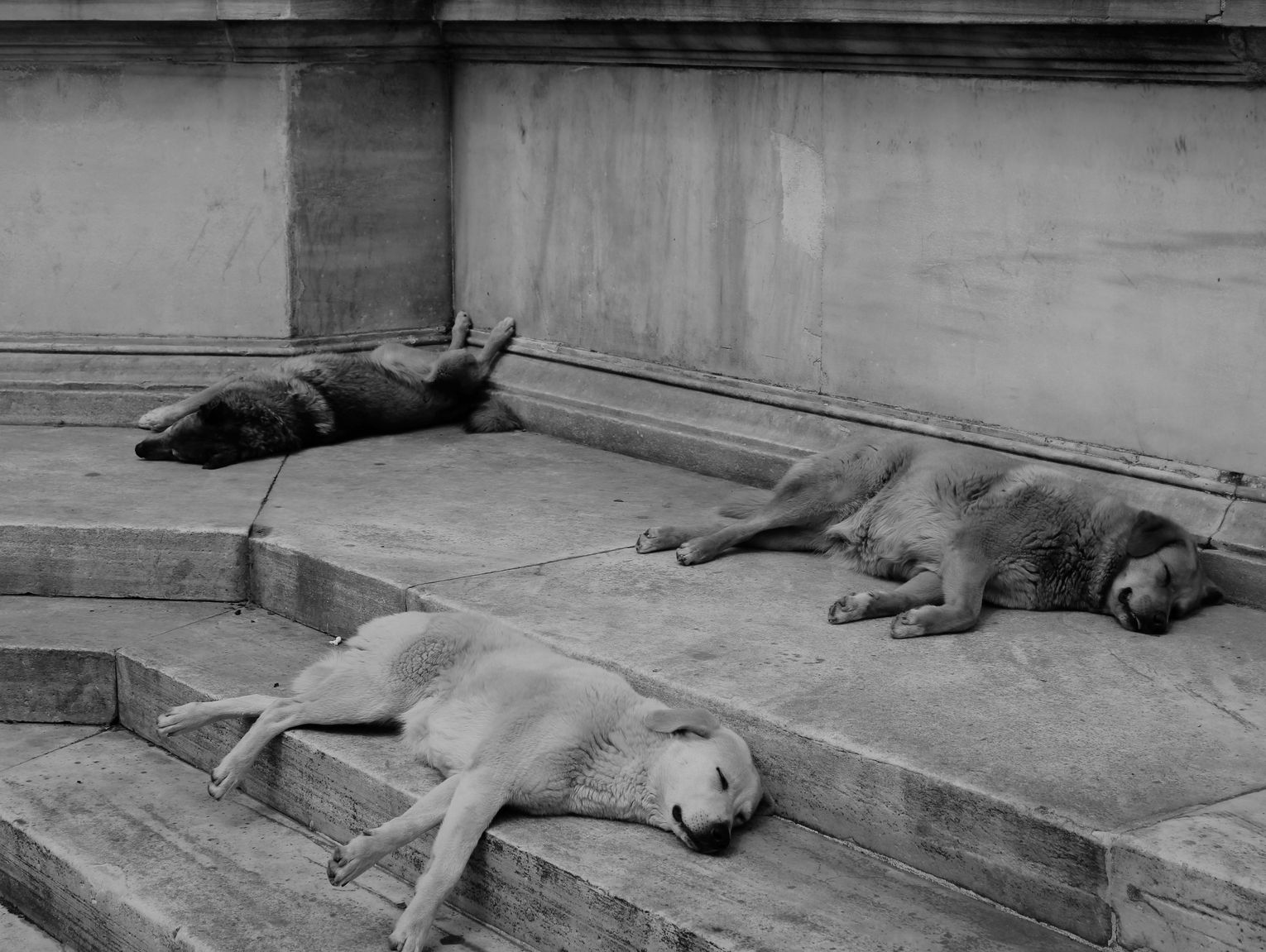 „Zdzierał skóry przy ulicy Łukowskiej”. O czyścicielu z Międzyrzeca Podlaskiego