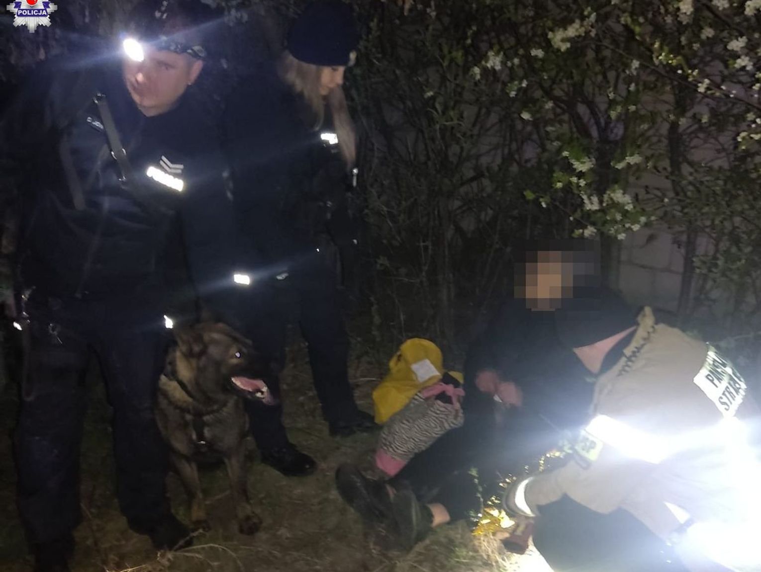 Wisznice. Pies Tolo uratował 80-latkę