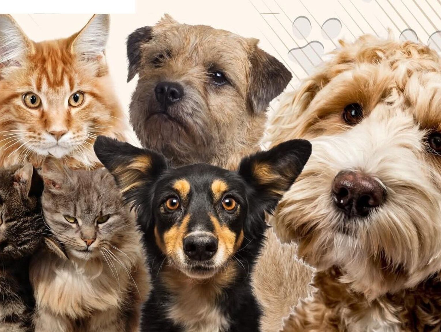 Z tego projektu bialczanie skorzystali w 100 procentach