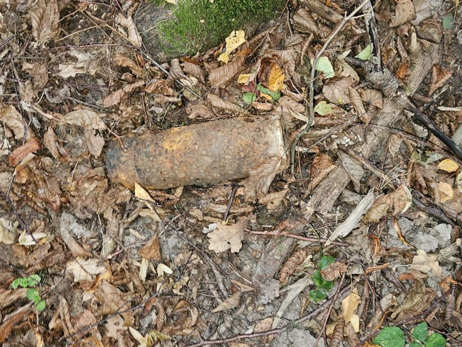 Lubelskie. Zamiast prawdziwków – pocisk z wojny