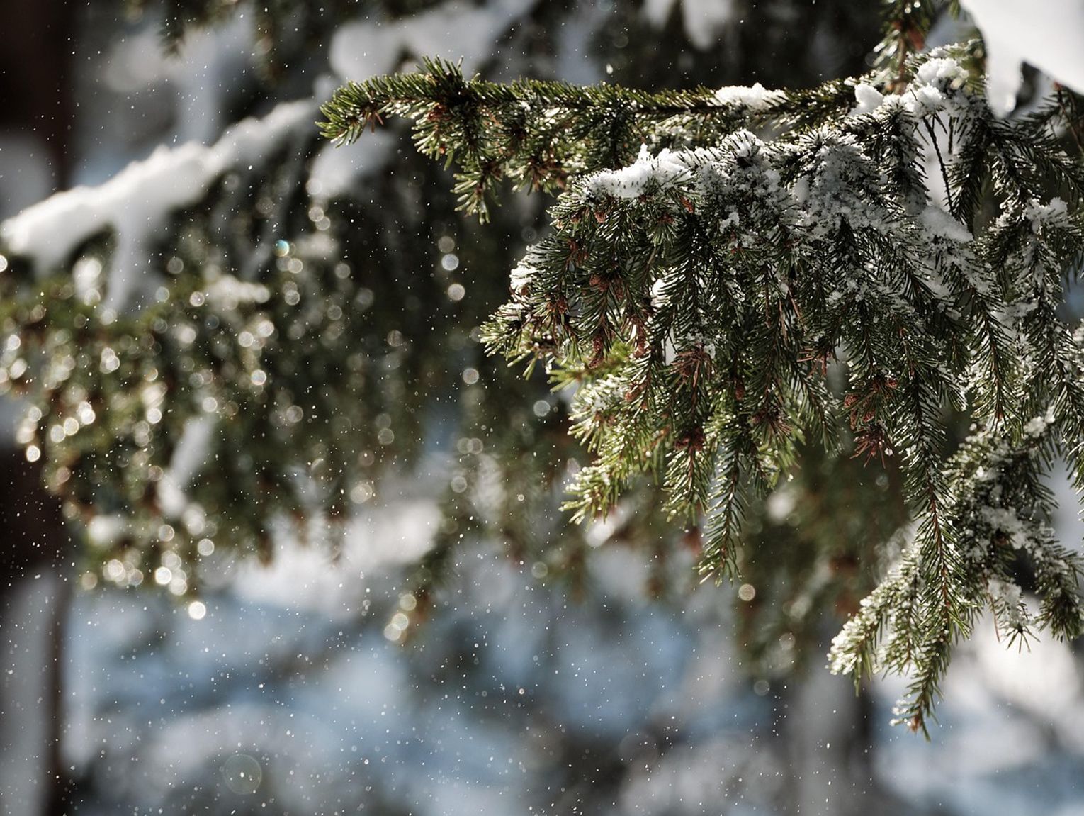 Zima może zaatakować na wschodzie!