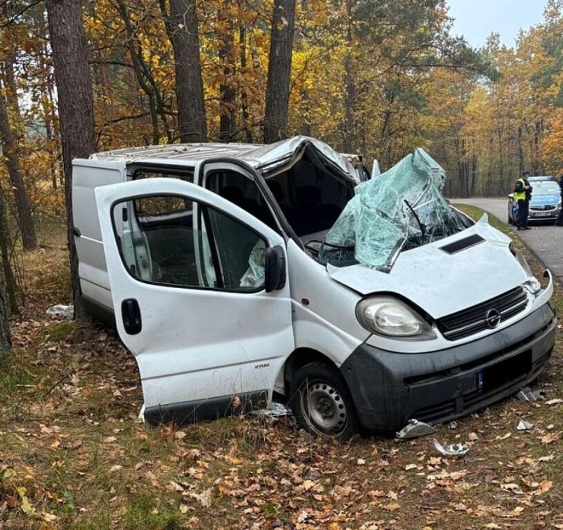 18-latek za kierownicą. Stracił panowanie nad autem