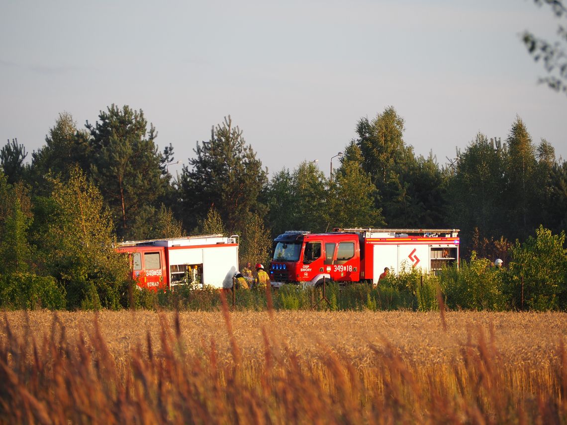 56 strażaków walczyło z pożarem zboża i trawy w Białej Podlaskiej