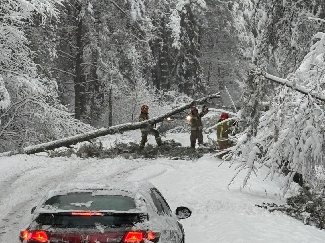 80 interwencji strażaków w powiecie zamojskim. Kierowcy byli im wdzięczni