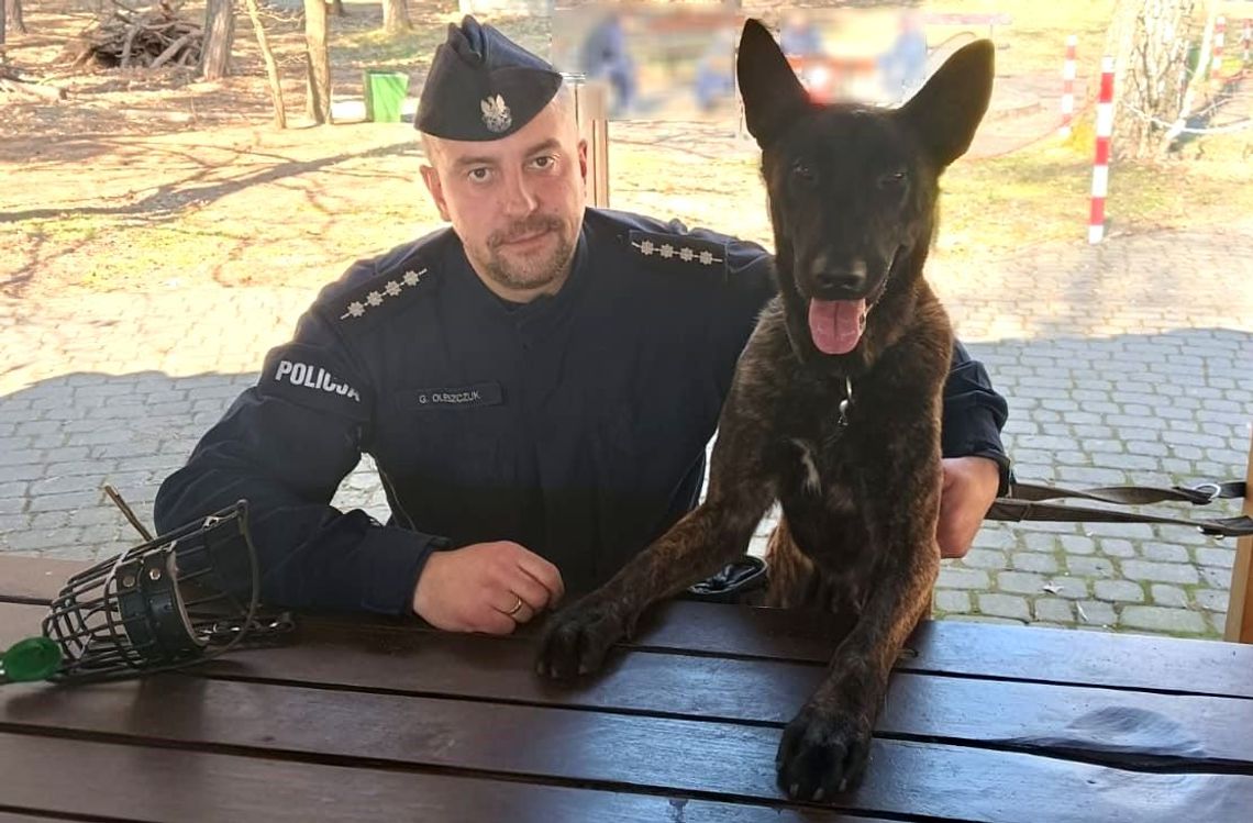 Akcja ratunkowa w Łukowie: młody mężczyzna odnaleziony w lesie