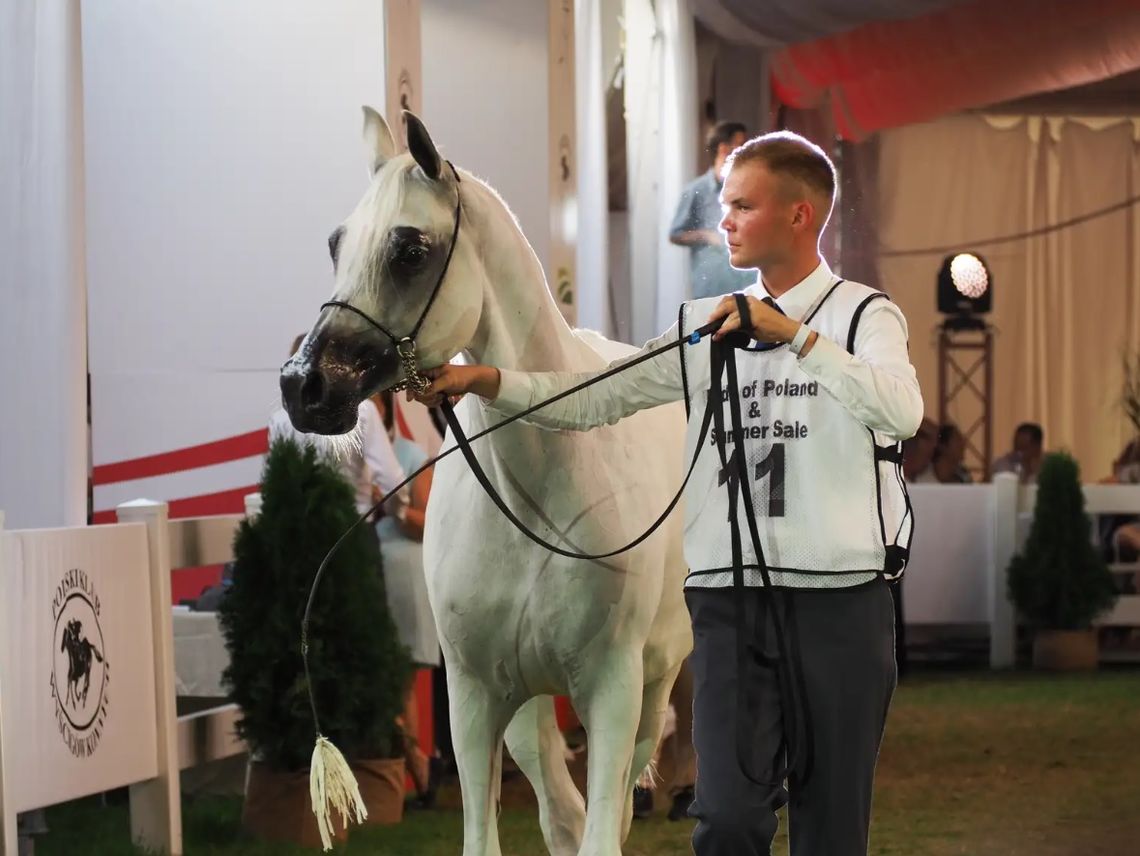 Aukcja Pride of Poland tuż-tuż, a lista koni wciąż niepewna
